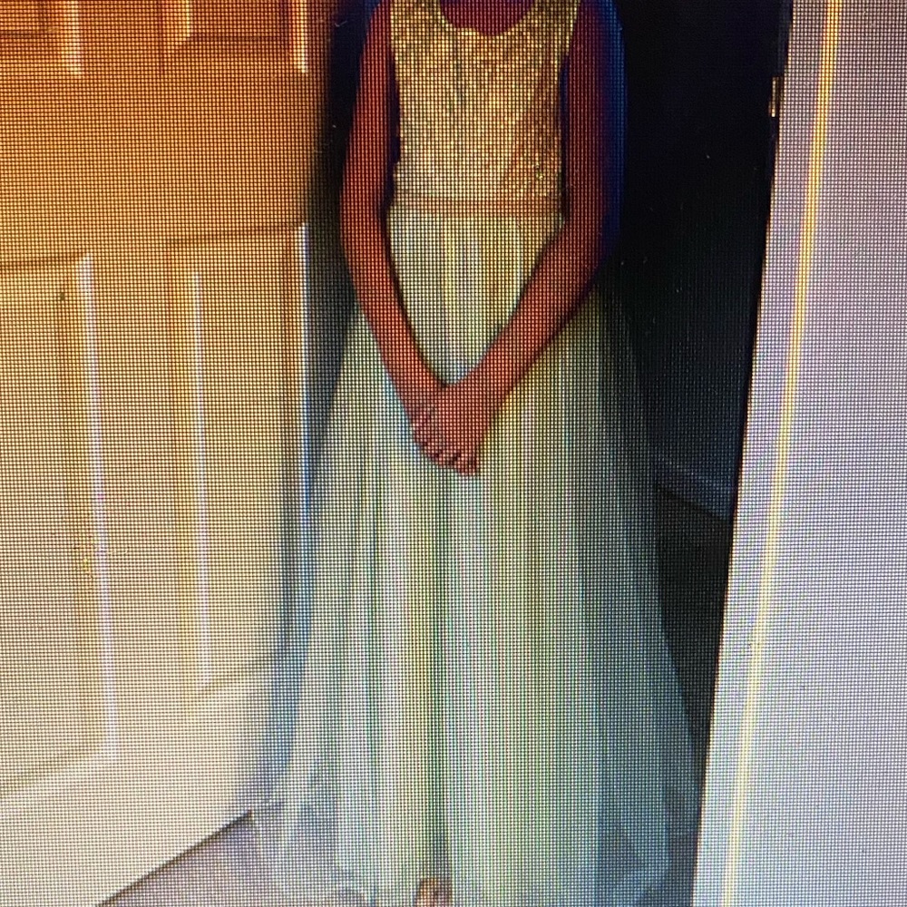 Elegant Light Green Gown
